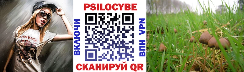 Галлюциногенные грибы Magic Shrooms  Салаир 
